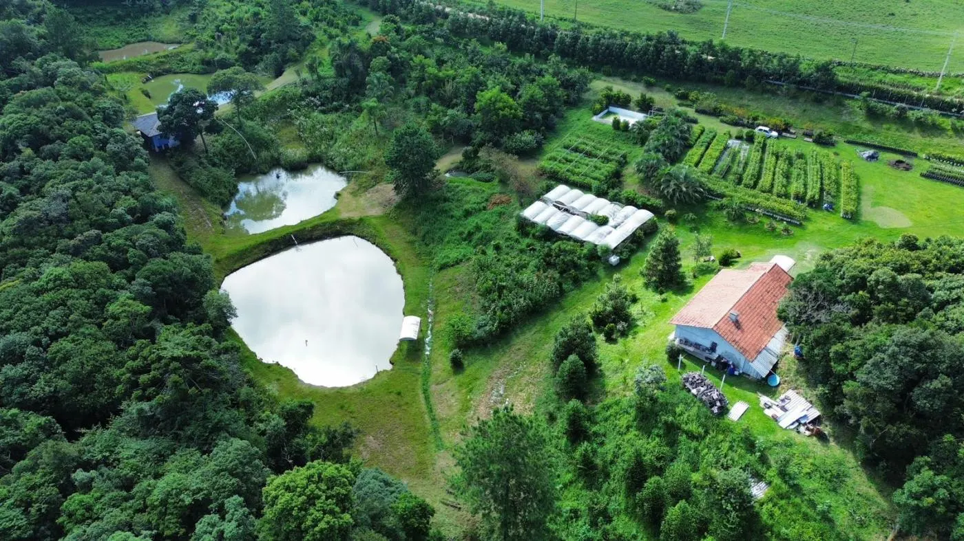Campestre da Faxina, São José dos Pinhais, ref. 195