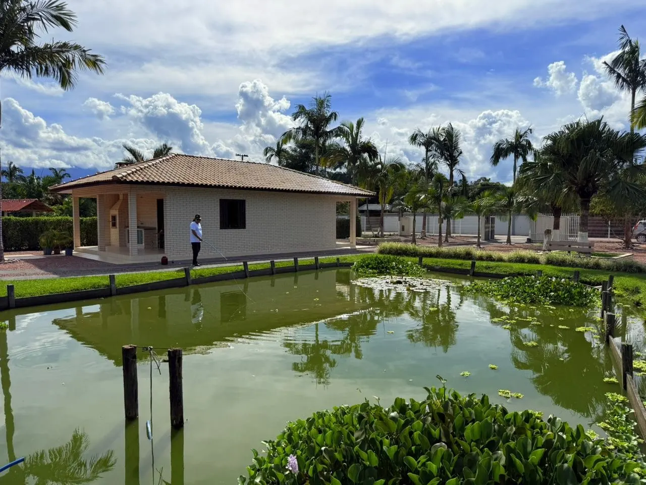 A casa e o tanque, ref. 231